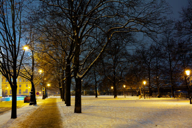 istock landscape with street lamps 1289919640