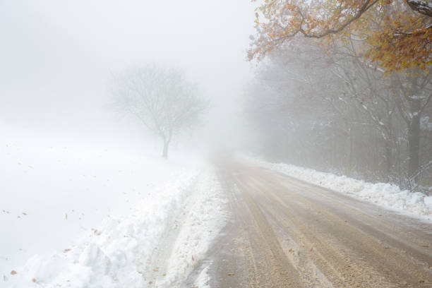 istock Low visibility along a a snowy road in the mountains 1289922204