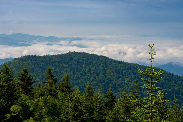 istock Clouds Gather in Valley in the Smokies 1289922956