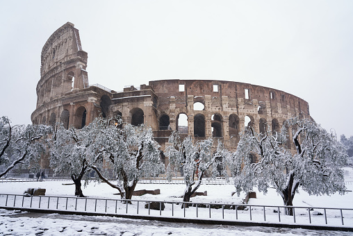 Wide angle view of Coliseum with olive trees in a snow storm