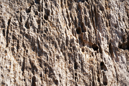 Surface sandy rock. Rocky shore of the Caspian Sea.