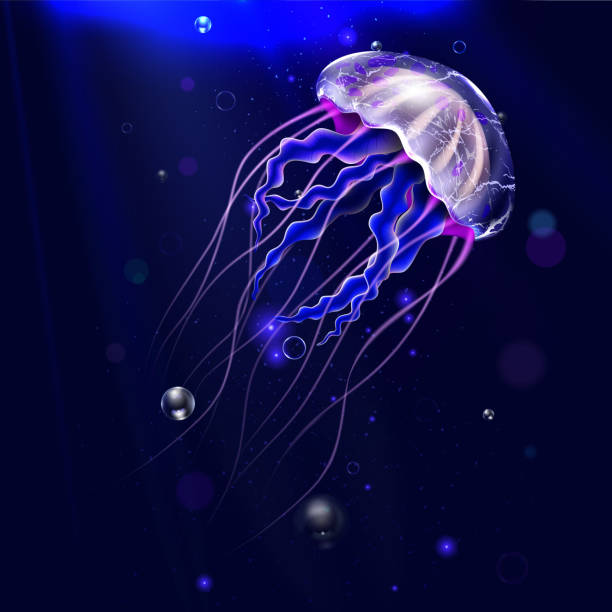 illustrazioni stock, clip art, cartoni animati e icone di tendenza di realistico dettagliato 3d medusa trasparente in acqua. vettore - jellyfish underwater water light
