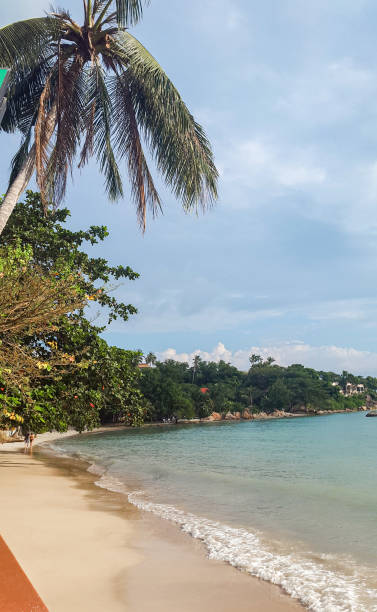 istock A beach in Koh Samui, Thailand. 1289929223