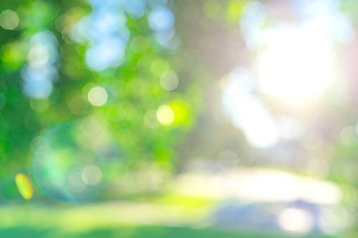 Green defocused lush foliage with bokeh, sun rays and lens flare background. High resolution 42Mp outdoors digital capture taken with SONY A7rII and Zeiss Batis 40mm F2.0 CF lens