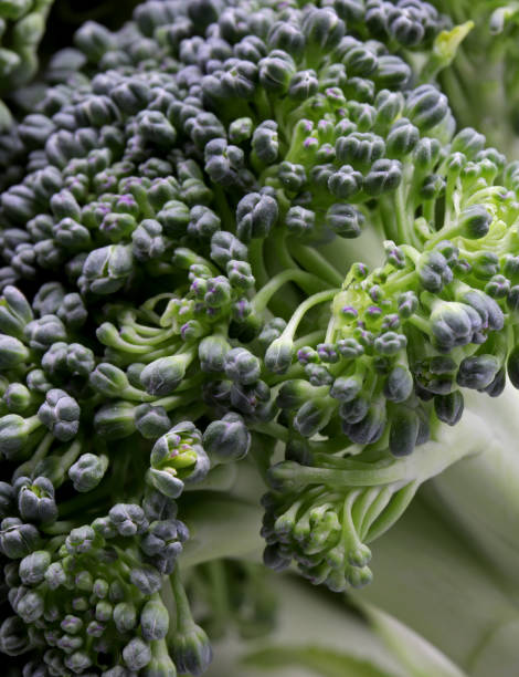 istock close-up of a bunch of broccoli 1289932177