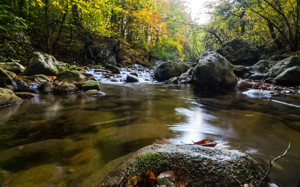 istock Mountain small river in forest with rapids and waterfalls. A forest creek. 1289932938