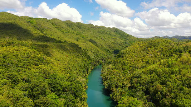 istock Loboc river in the jungle. Bohol, Philippines 1289933196