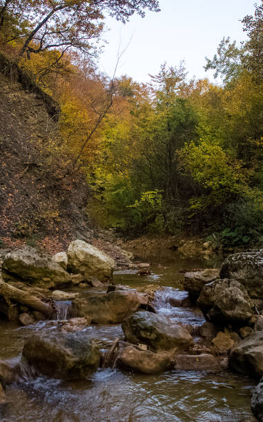 istock Mountain small river in forest with rapids and waterfalls. A forest creek. 1289933455