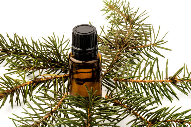 istock Spruce essential oil in a bottle, with fresh spruce twigs on white background 1289934262