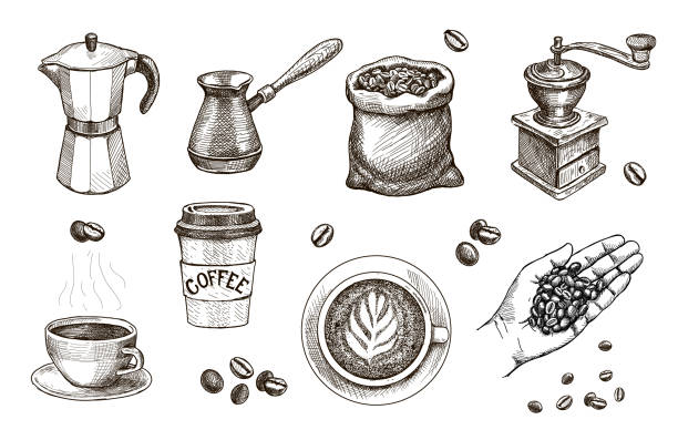 illustrations, cliparts, dessins animés et icônes de café dessiné à la main. main avec l’esquisse de haricots rôtis. - roasted