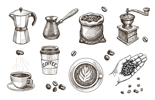Coffee hand drawn. Hand with roasted beans sketch. Espresso, cappucchino cap, Coffee mill, sack, Engraved vintage vector set for cafe, restaurant set.