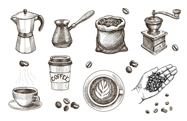 Coffee hand drawn. Hand with roasted beans sketch. Coffee hand drawn. Hand with roasted beans sketch. Espresso, cappucchino cap, Coffee mill, sack, Engraved vintage vector set for cafe, restaurant set. coffee stock illustrations
