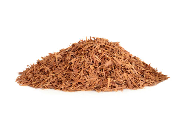 istock Cats Claw Herb Herbal Medicine 1289934861