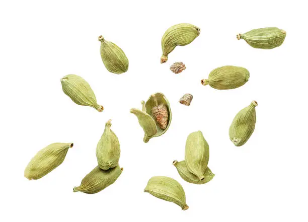 Cardamom pods whole and chopped fly close-up on a white background. Isolated