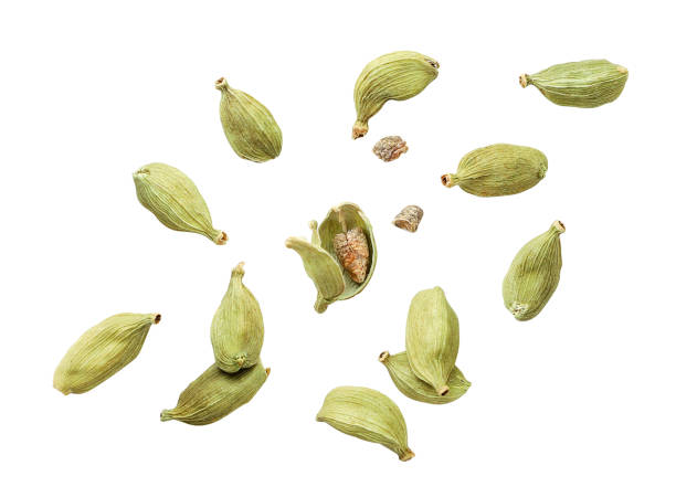 cardamom pods whole and chopped fly on a white background. isolated - cardamom plant spice green imagens e fotografias de stock