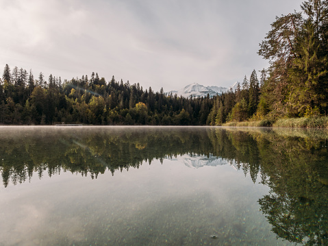 landscape of morning lake with autumn forest