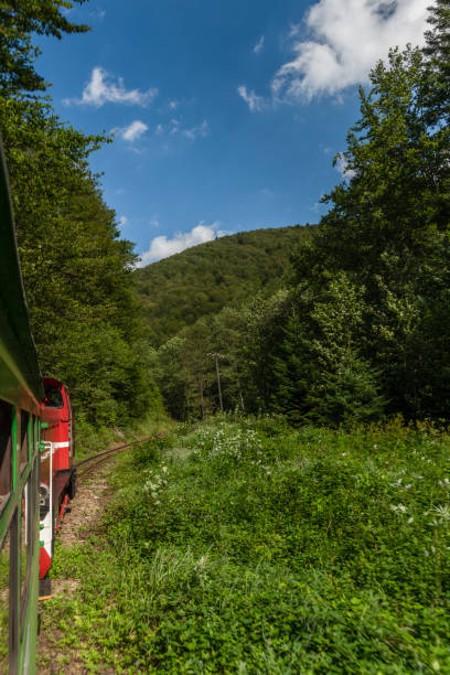 istock Narrow gauge railway view from train for forests and meadows in Poland mountains 1289940657