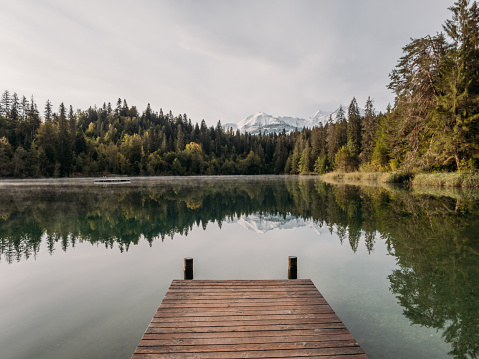 Wooden pier, Pine forest, reflection on water surface