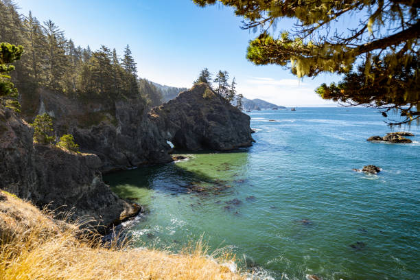 istock Natural Bridges Oregon Coast 1289945312