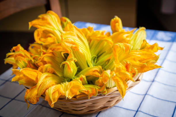 flores de calabacín - zucchini flower squash summer fotografías e imágenes de stock
