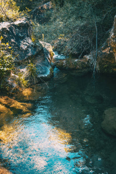 istock Small crystal clear waterfall inside the forest on a mountain in Prades, Spain. 1289948337