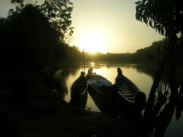 Sunrise in the jungle of Suriname
