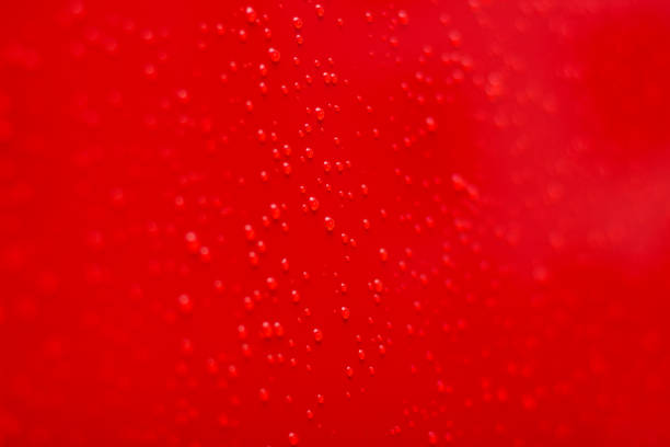Drops of water on the tropical leaf