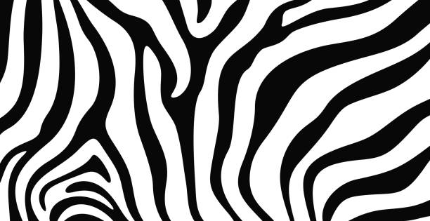 stockillustraties, clipart, cartoons en iconen met zebra textuur logo. geïsoleerde zebratextuur op witte achtergrond - gekke paarden