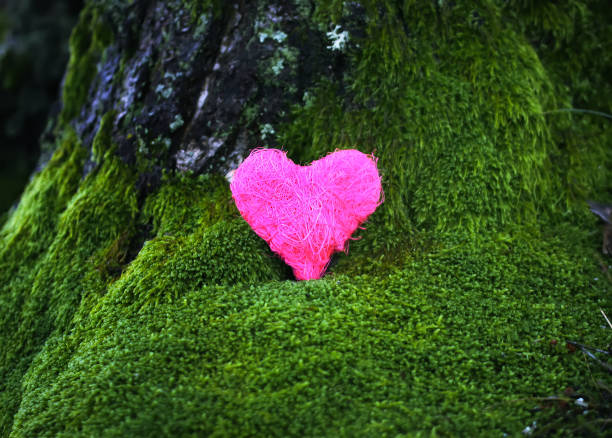 istock Decorative colorful heart on green moss in park. 1289950805