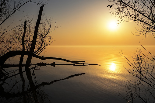 Beautiful sunrise at Lake. Morning landscape with trees, branches