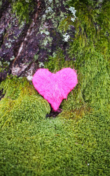 istock Decorative colorful heart on green moss in park. 1289950942
