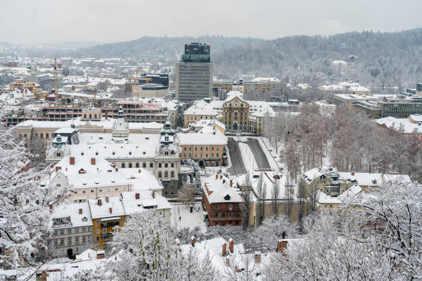 istock High angle view on festive Preseren trg covered with snow 1289952537