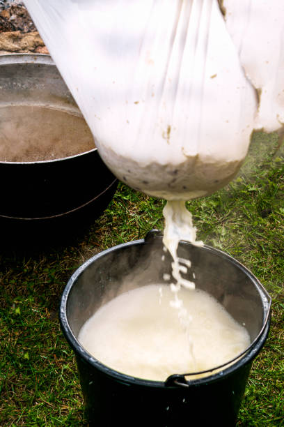 istock Homemade cheese production in a large cauldron over a fire. 1289955320