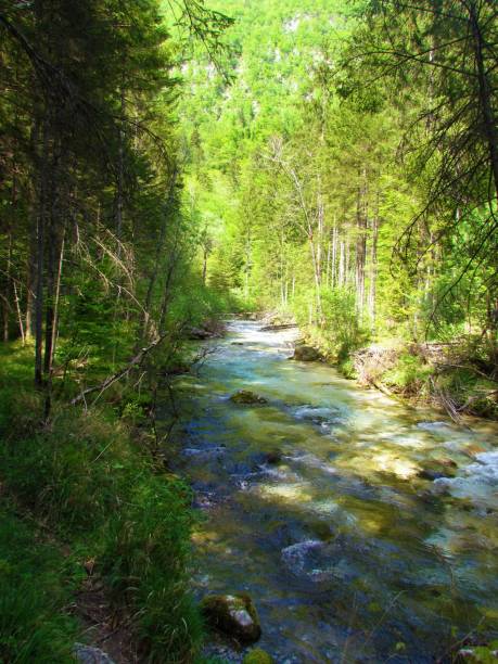 istock beautiful Kamniska Bistrica river in Slovenia 1289955331