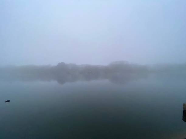 istock Foggy landscape in the park 1289957714