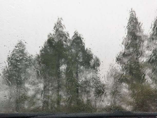 istock Glass with rain in car and forest 1289958252