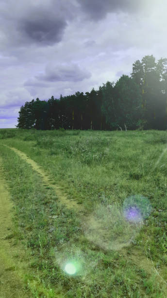 istock Meadow near forest in summer day, clear air 1289963764
