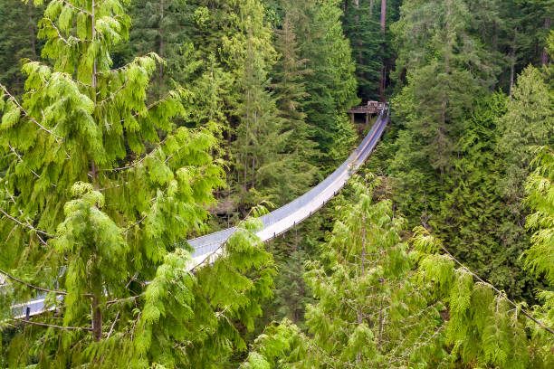 istock The Capilano Suspension Bridge in North Vancouver 1289964648