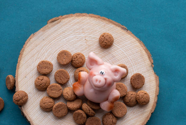 Pink piglet made of marzipan (almonds) with pepernoten cookies, traditional food on Sinterklaas celebration
