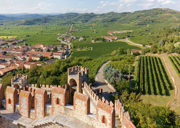 paisagem de soave vista do castelo - soave - fotografias e filmes do acervo