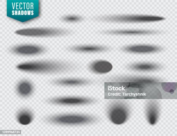One Shadow Vector Vector Shadows Set On Transparent Background Realistic Isolated Shadow ...