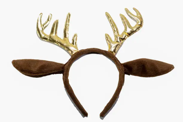 Photo of Reindeer horns on a white background