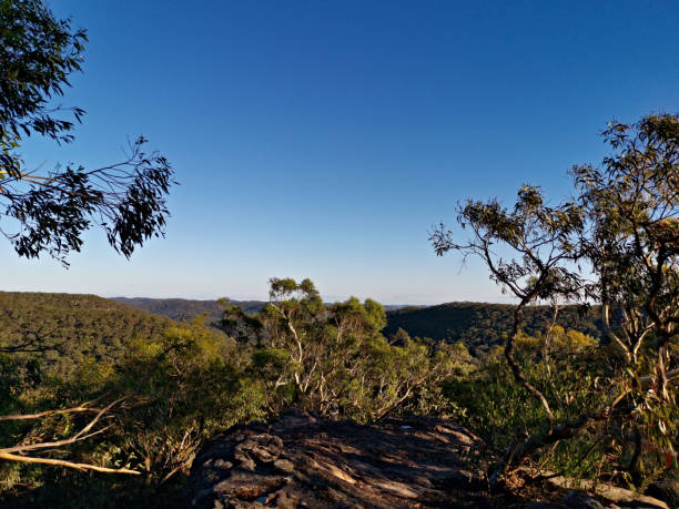 istock Mountain and valley landscape, Berowra Heights, Sydney, Australia 1289971309
