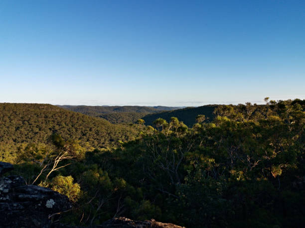 istock Mountain and valley landscape, Berowra Heights, Sydney, Australia 1289971313