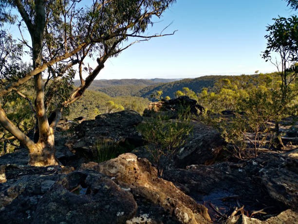 istock Mountain and valley landscape, Berowra Heights, Sydney, Australia 1289971395