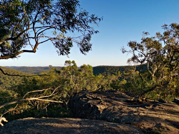 istock Mountain and valley landscape, Berowra Heights, Sydney, Australia 1289971423