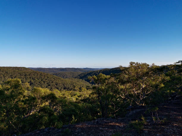 istock Mountain and valley landscape, Berowra Heights, Sydney, Australia 1289971894