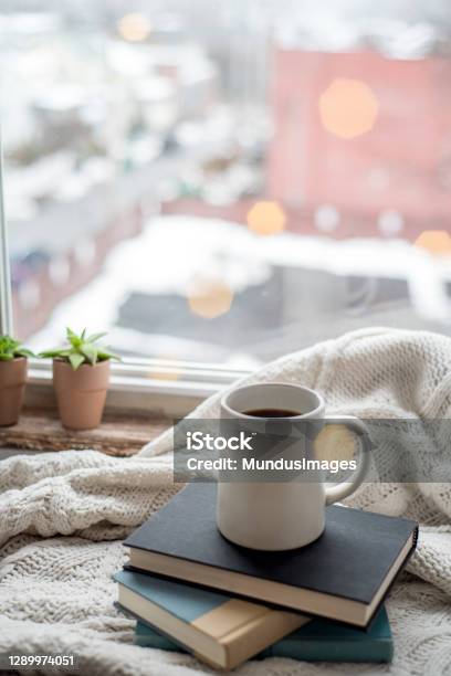 A Cozy At Home Shot Of A Mug And Books On A Blanket By The Window Stock Photo - Download Image Now