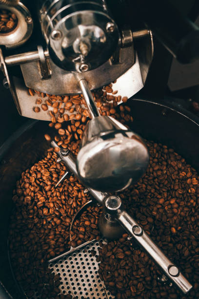 Coffee roaster fresh coffee beans ready stock photo