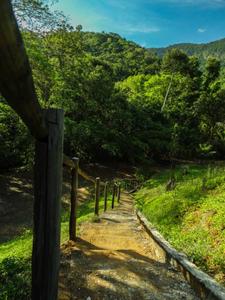 istock stairway in the middle of nature 1289982040
